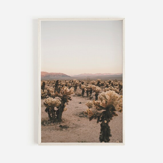 The Cholla Cactus Garden At Dusk Desert Landscape Travel Poster