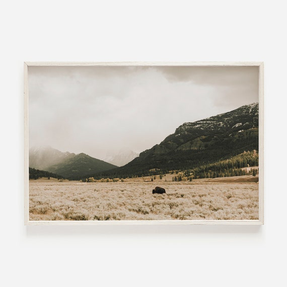 Bison Among the Mountains Rustic Western Wall Art
