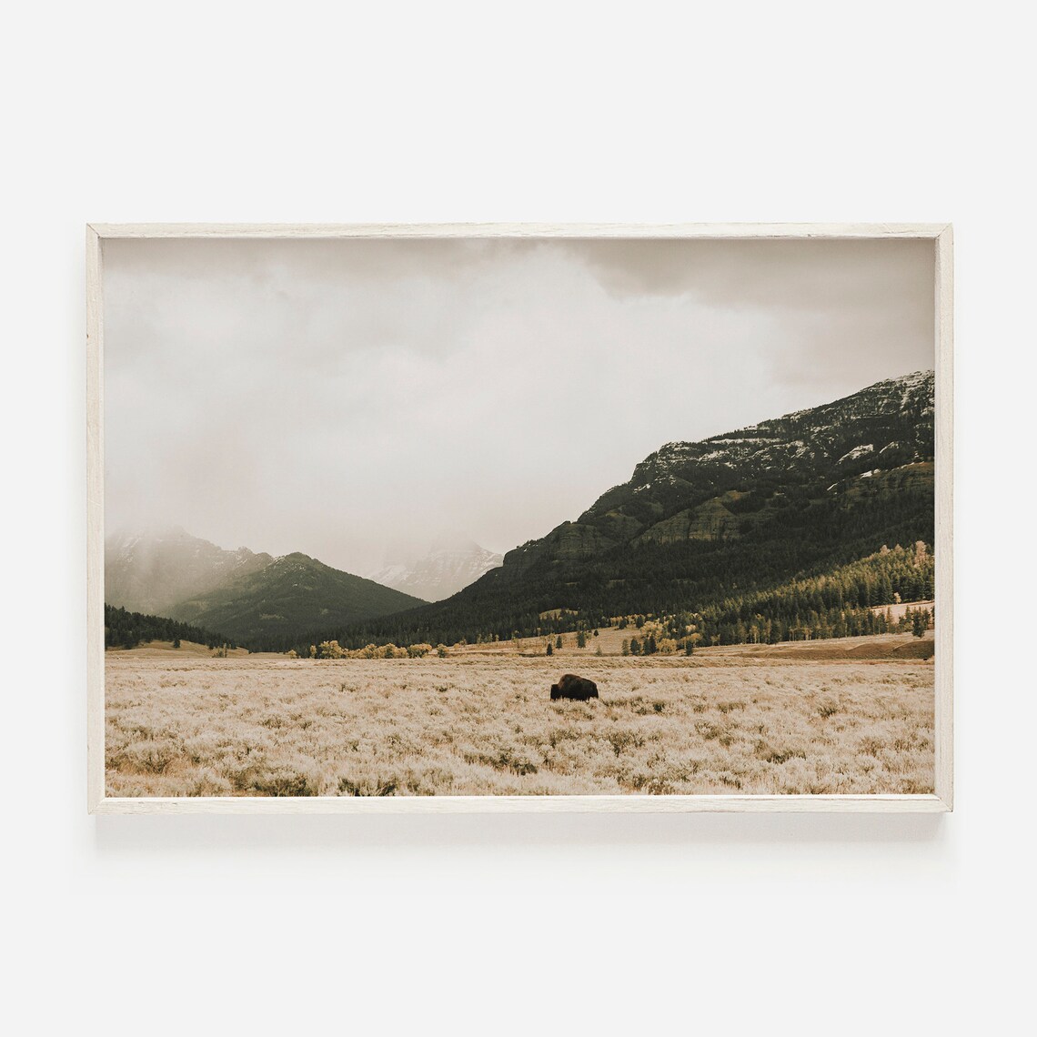 Bison Among the Mountains Rustic Western Wall Art