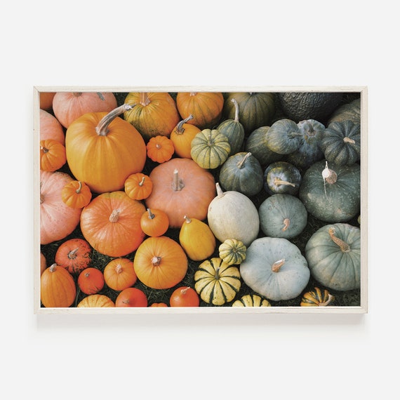 Colorful Pumpkin Print Farmhouse Decor Rustic Poster Fall Harvest Wall Art Gourds Photography