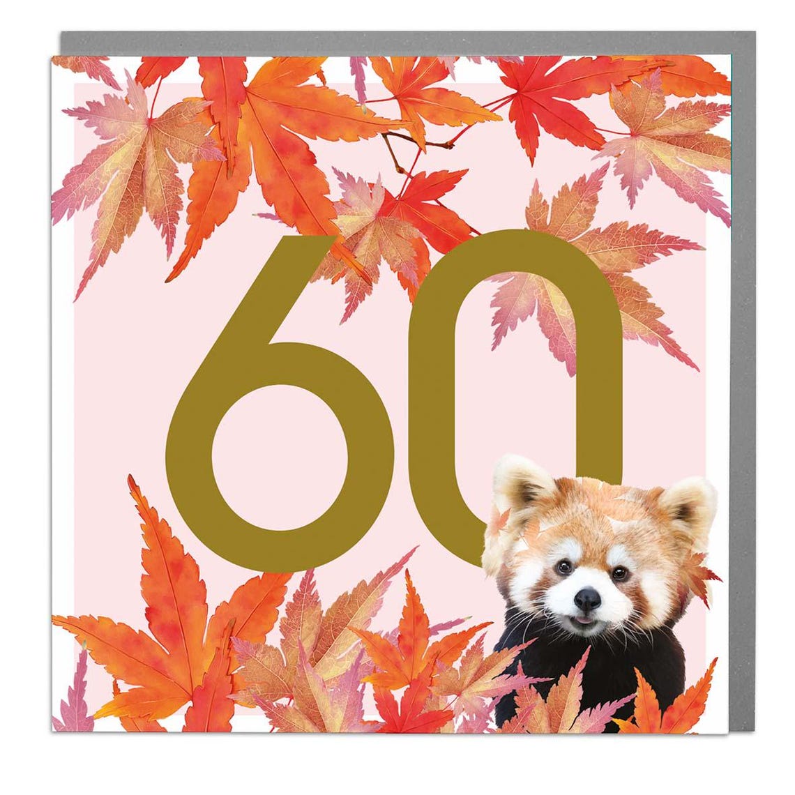 Red Panda 60th Birthday Card Autumn Leaves Milestone Art Print