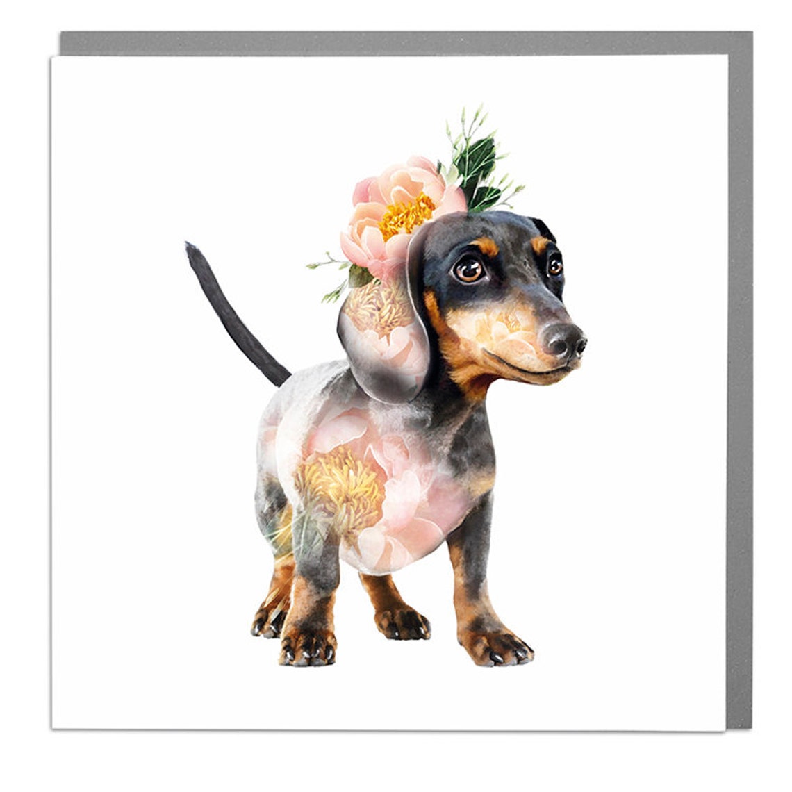Dachshund Blank Greeting Card