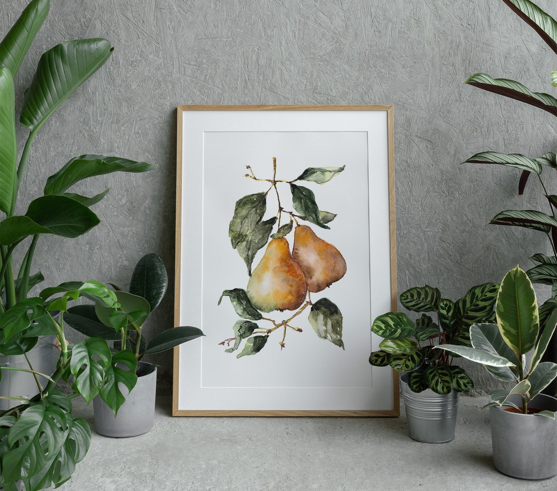 Golden Pears Branch Watercolor Botanical Fruit Kitchen Art Wall Poster - Image 4
