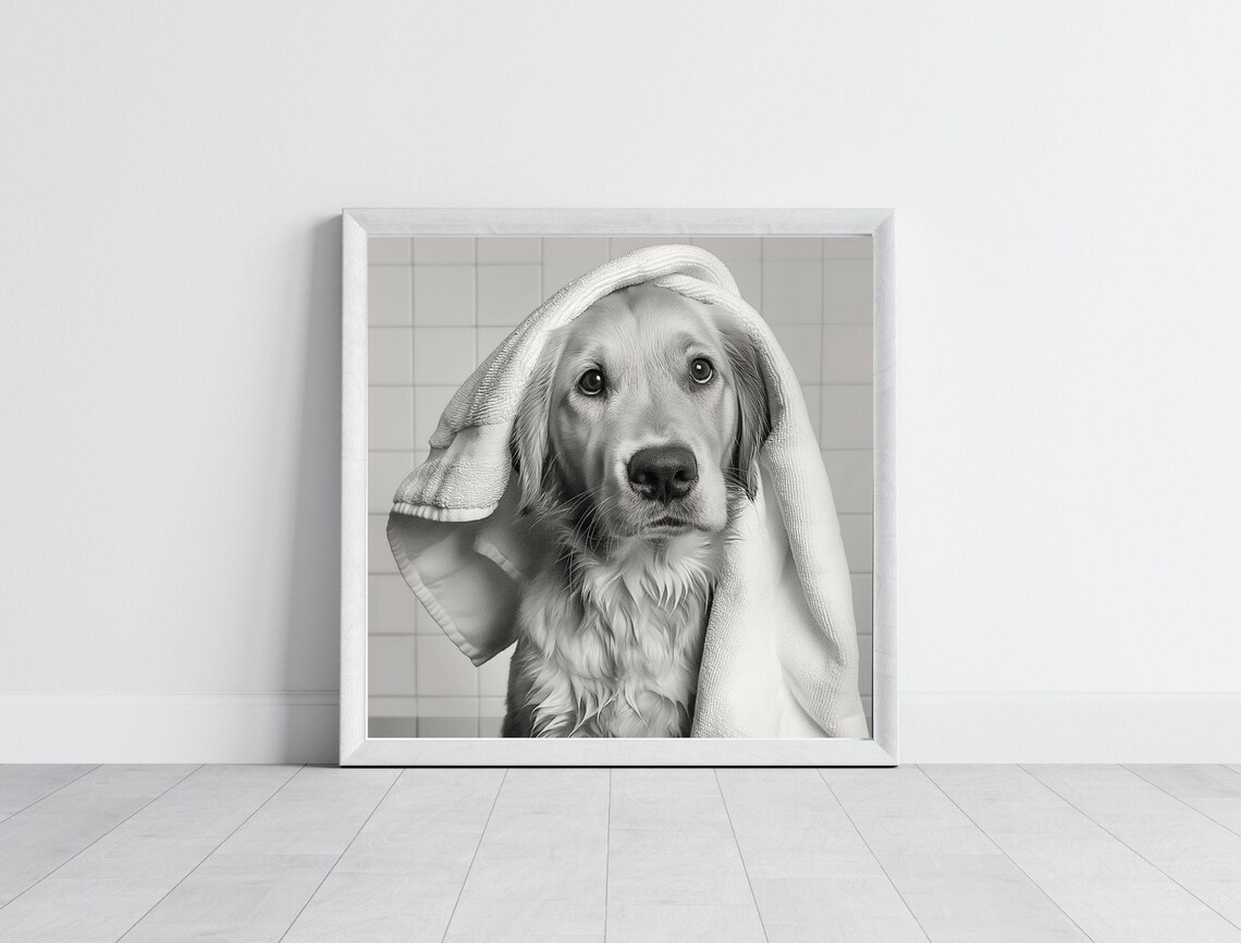 Golden Retriever Puppy With Towel On Head Black And White Dog Poster - Image 3