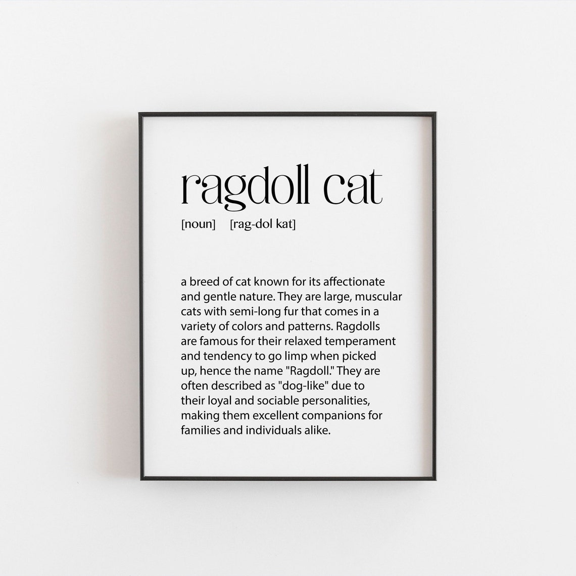 Ragdoll Cat Breed Definition Dictionary Gentle Giant Art Poster