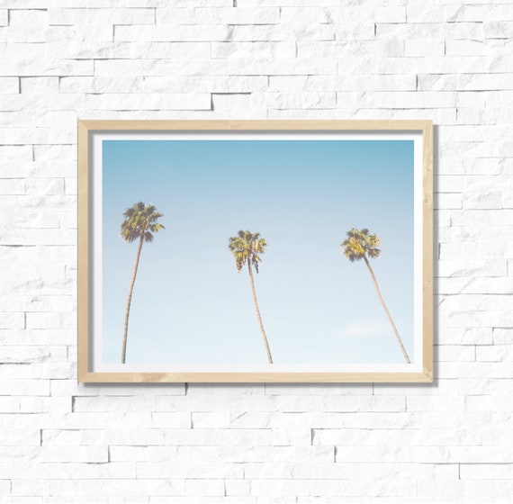 Art Instant Colour Photography Home Decor Wall Art 8x10 Print Palmtrees Arizona Horizontal Photo