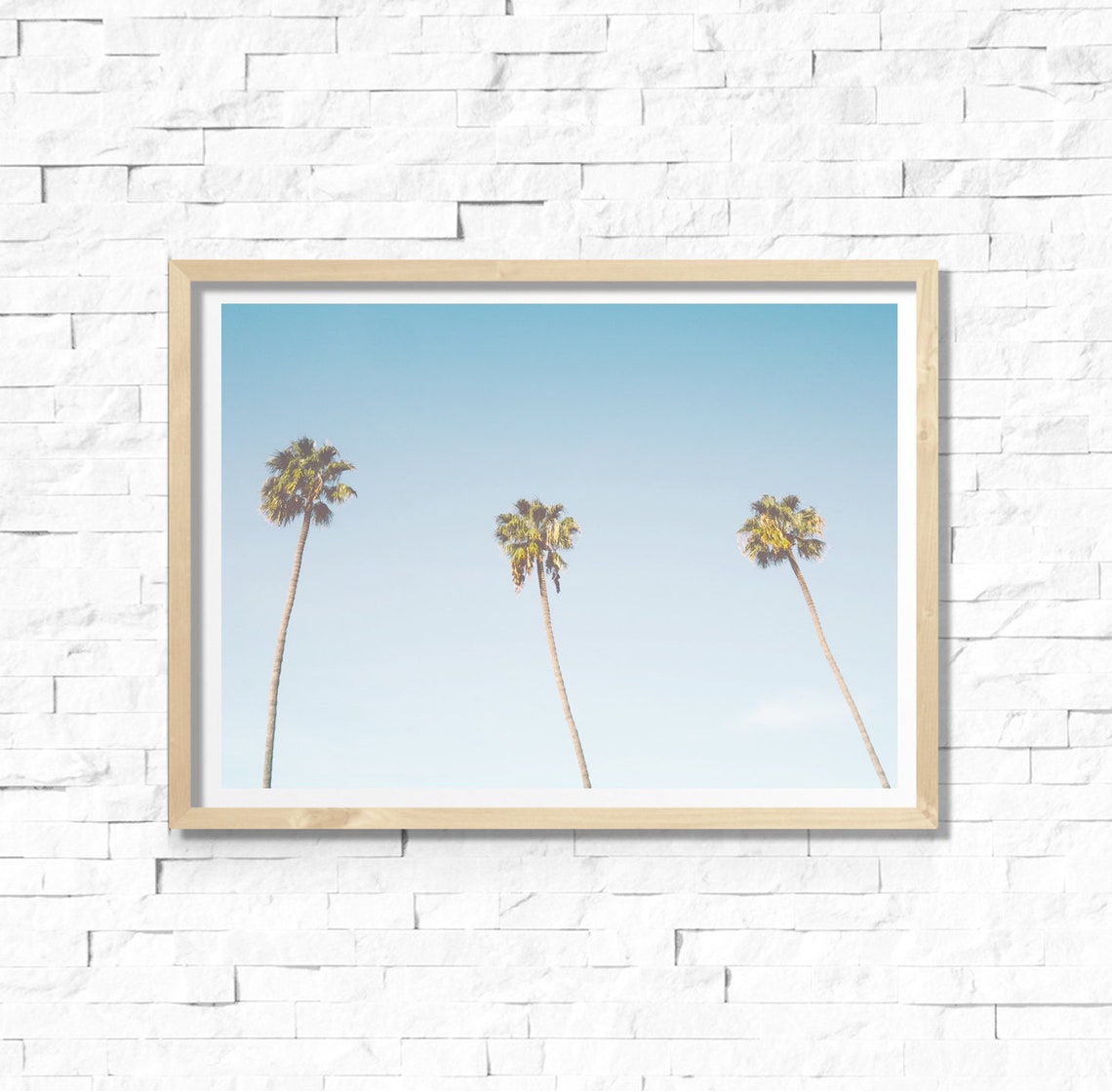 Three Tall Palm Trees Against Clear Blue Sky Horizontal Photo Poster