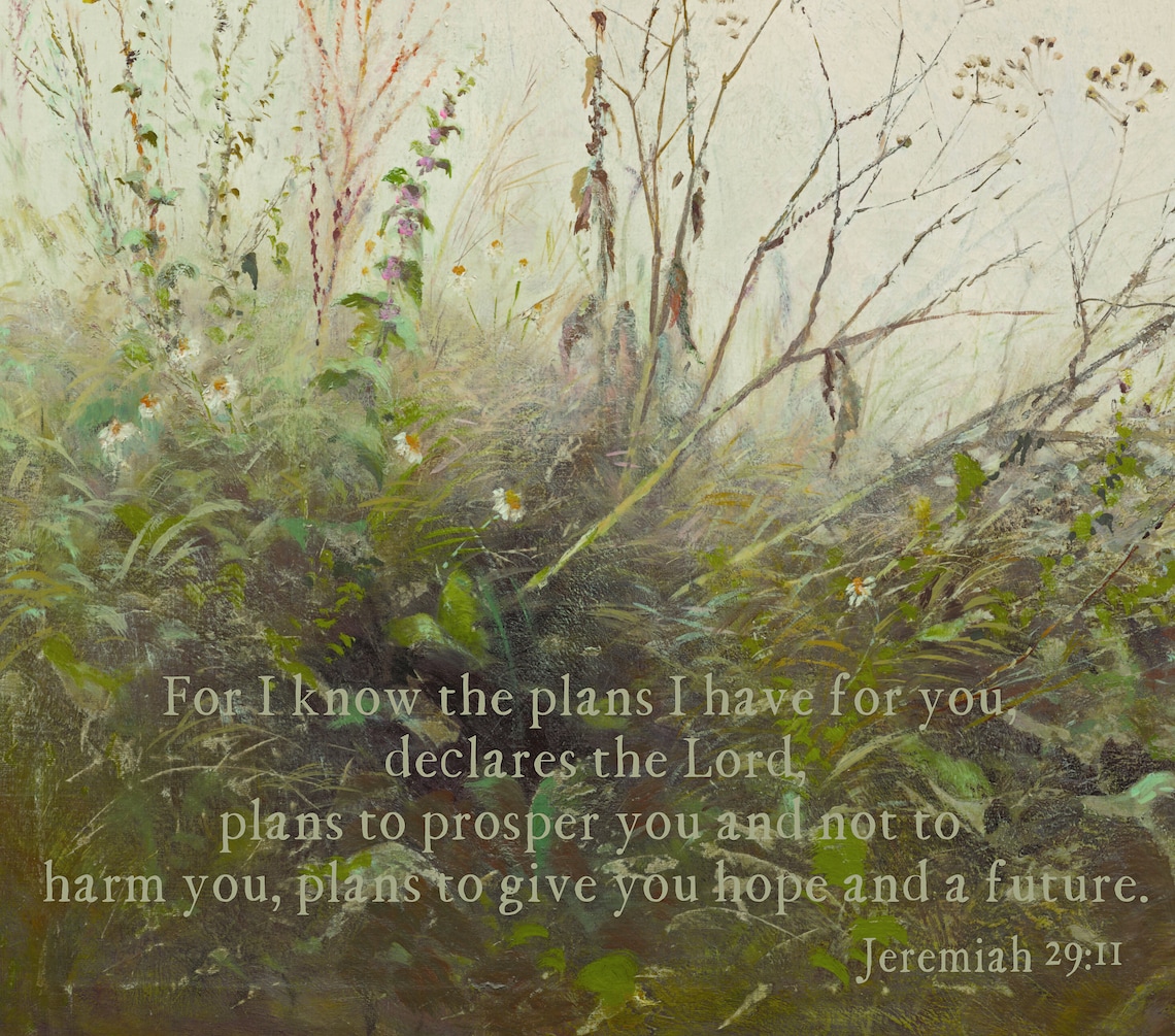 Jeremiah 29:11 Plans to Prosper You Over a Misty Wildflower Scene Poster - Image 2
