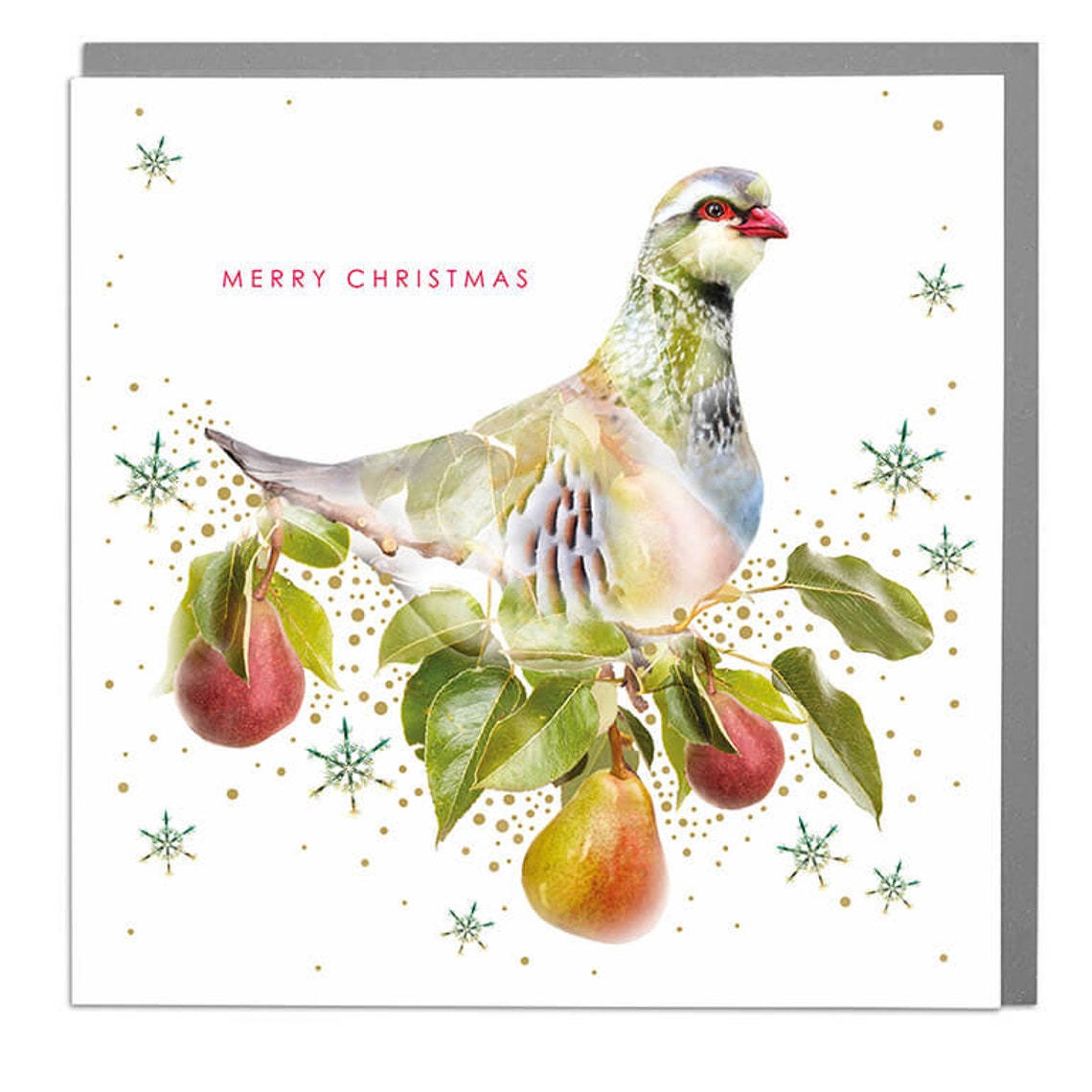 Partridge Merry Christmas Holiday Card