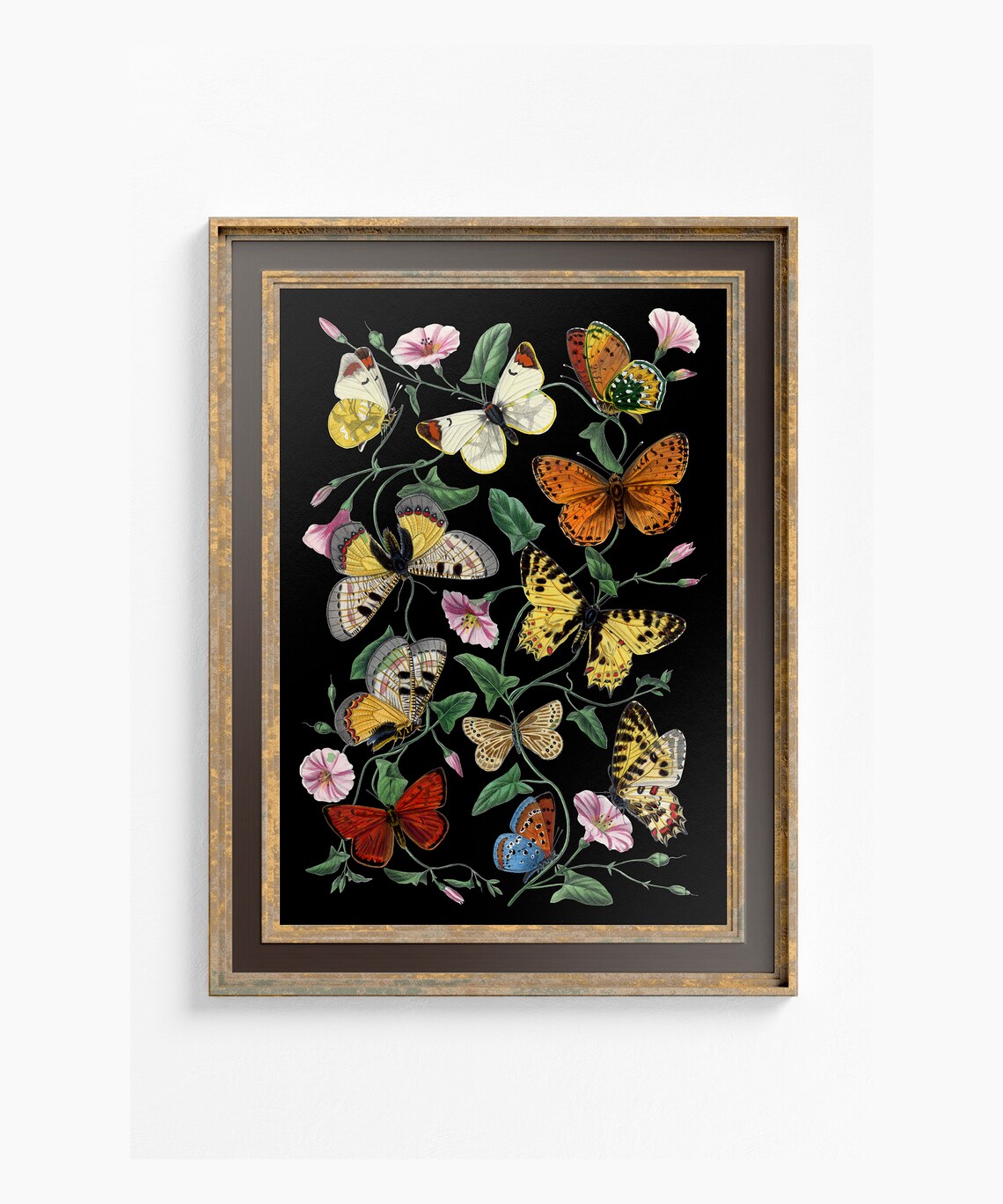 Black Butterflies Vintage Poster Print - Image 2