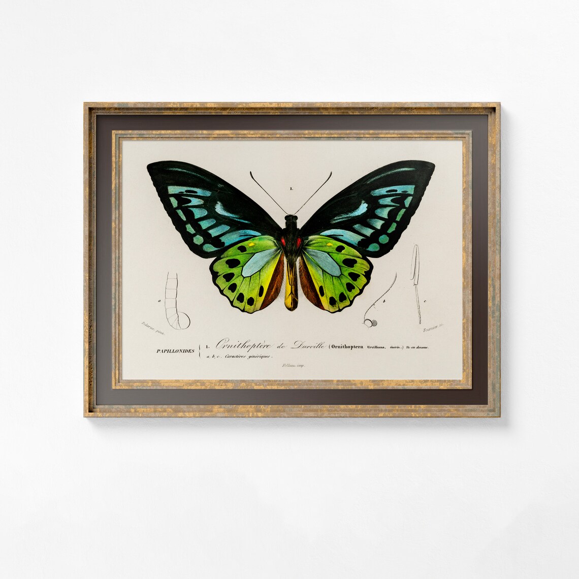 Art Deco Butterfly Vintage Poster Print