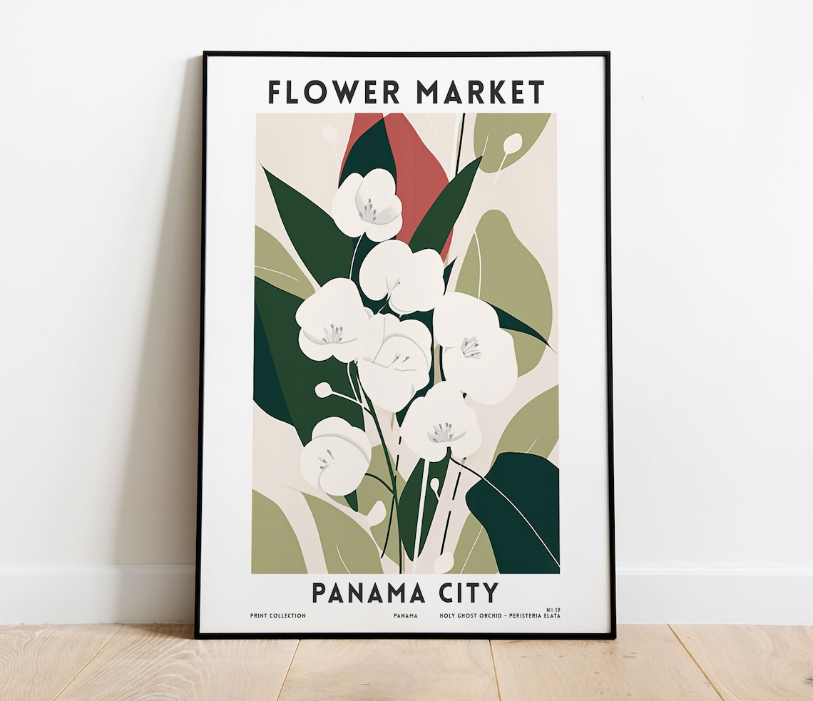 Panama City Flower Market White Orchid Panama Botanical Art Poster