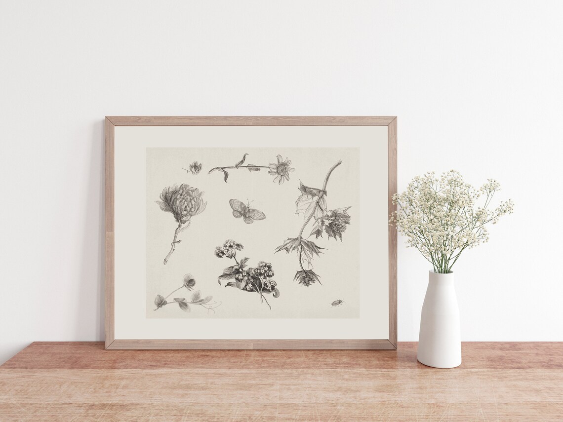 Rustic Flower Sketch, Antique Botanical Art Print - Image 3