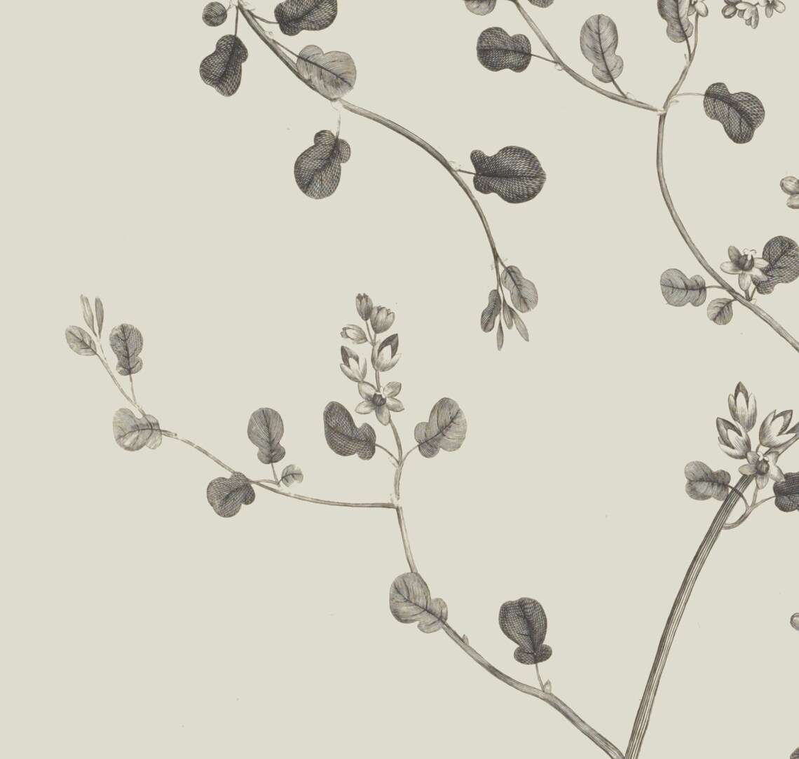 Neutral Branch Drawing Botanical Print, Simple Art - Image 3