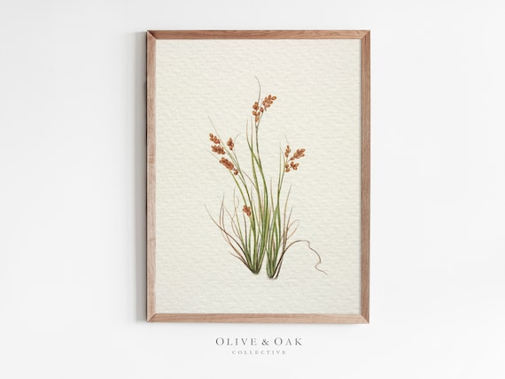 Antique Botanical Flower Print, Vintage Farmhouse Art Print