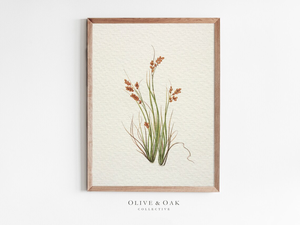Antique Botanical Flower Print, Vintage Farmhouse Art Print