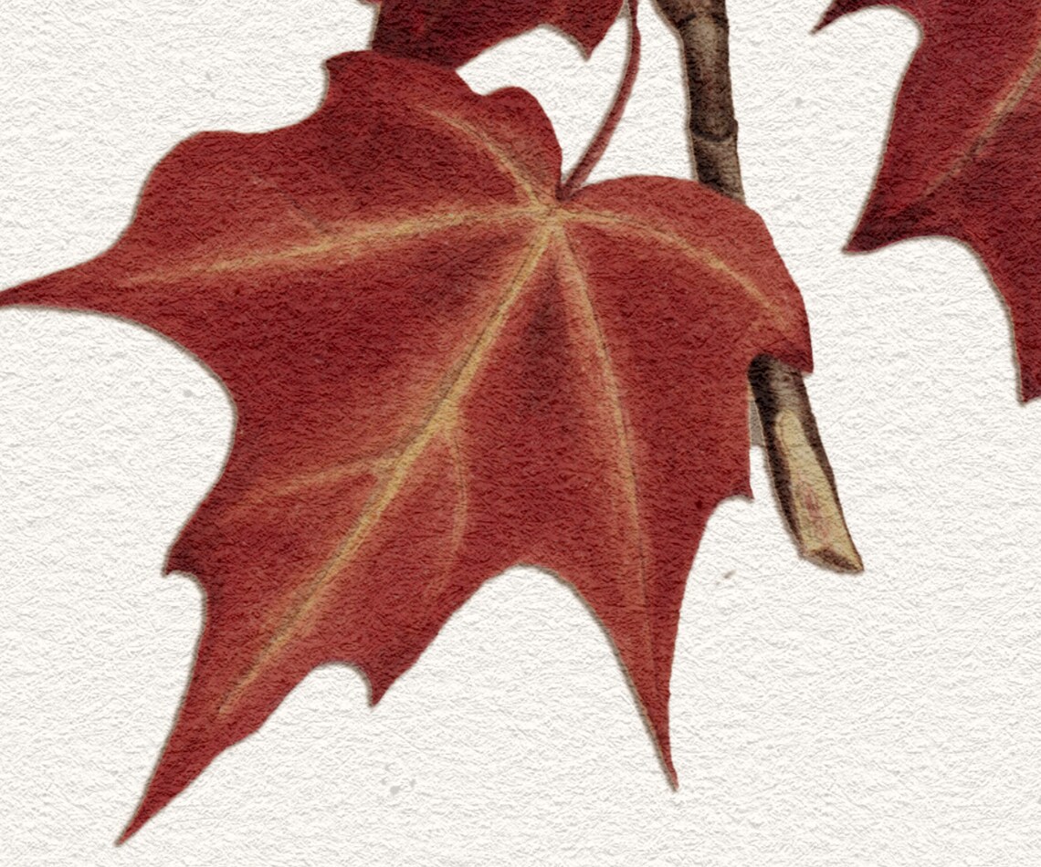 Fall Leaves Art Print, Autumn Wall Art - Image 2
