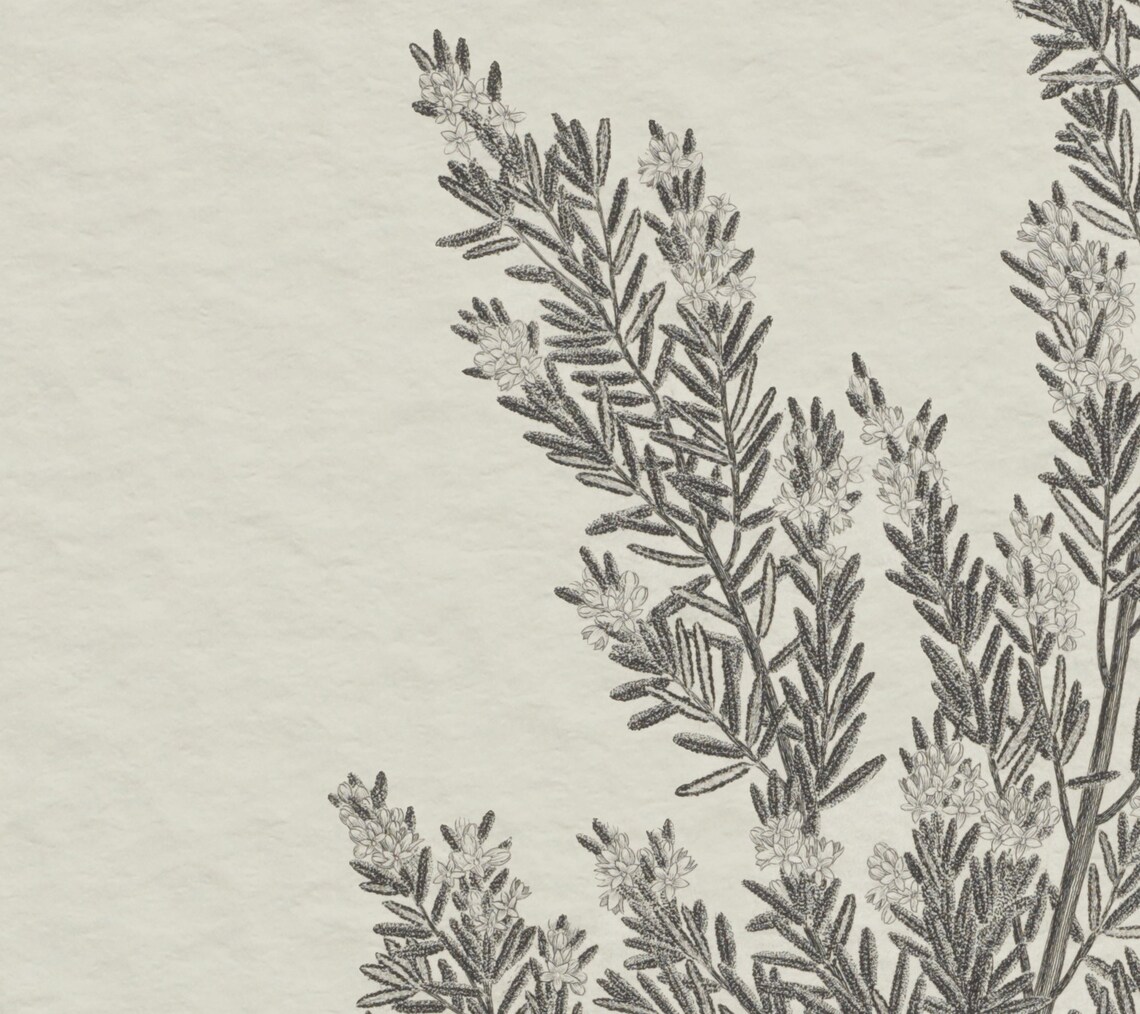 Rustic Botanical Print Simple Neutral Artwork 444 - Image 2