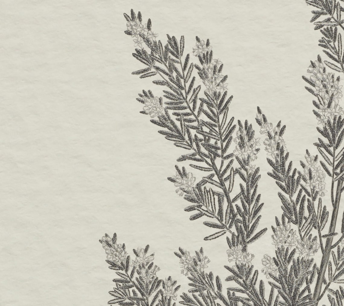 Rustic Botanical Print, Simple Neutral Wall Art - Image 2