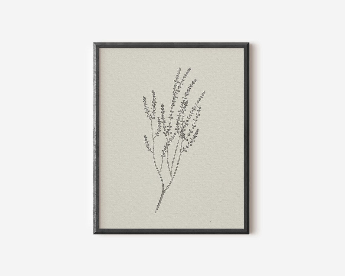 Rustic Branch Sketch, Vintage Botanical Art Print - Image 2