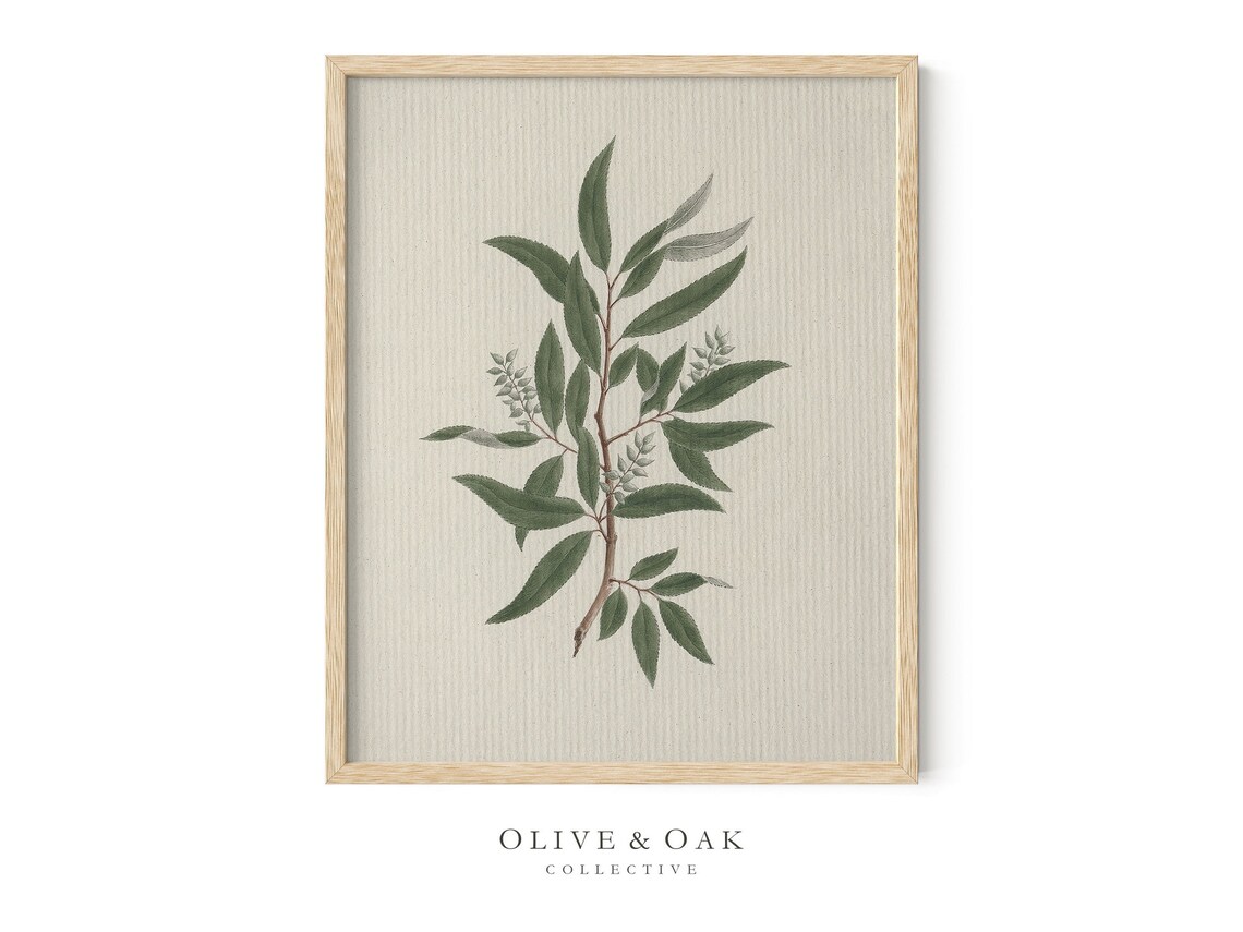 Vintage Botanical Tree Branch Art Print, Farmhouse Decor - Image 4