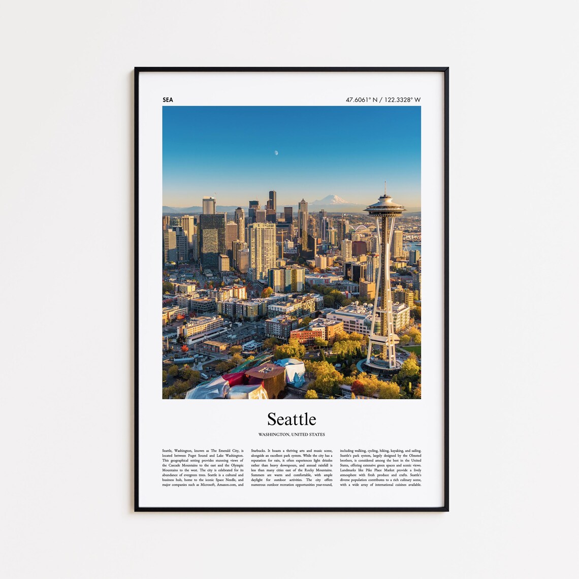 Seattle Washington Space Needle Skyline Real Photo Travel Poster