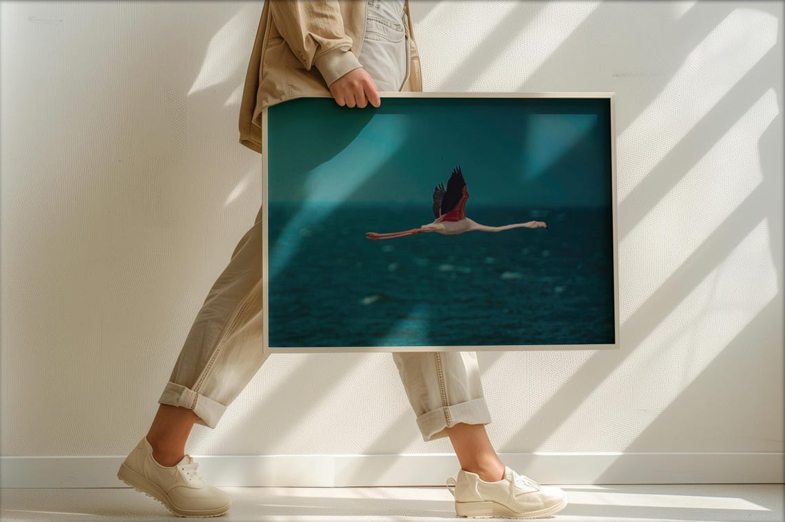 Walvis Bay Namibia Flying Flamingo Wildlife Photography Print - Image 4