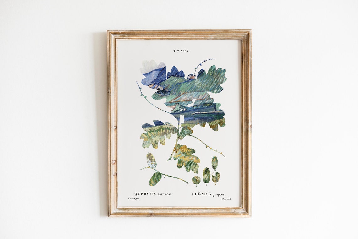 Vintage Botanical Oak Leaf Quercus Racemosa French Plate Poster - Image 2