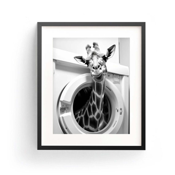Giraffe Popping Head Out Of Washing Machine Funny Photo Poster