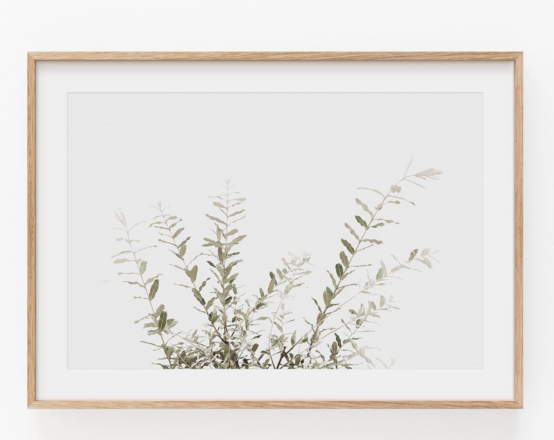 Wild Grass Botanical Print, Farmhouse Art Print