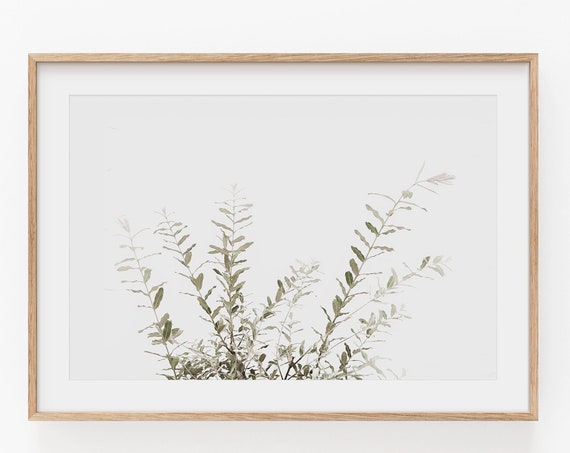 Wild Grass Botanical Print, Farmhouse Art Print