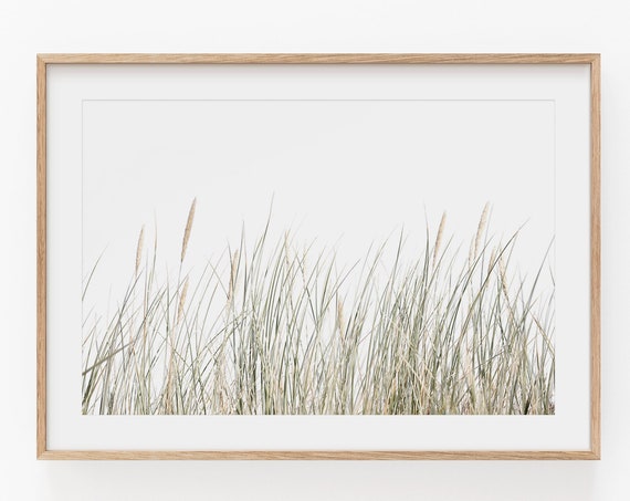 Pampas Grass Botanical Art Print, Boho Farmhouse