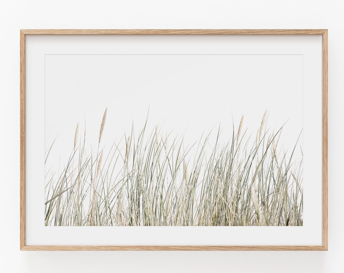Pampas Grass Botanical Art Print, Boho Farmhouse