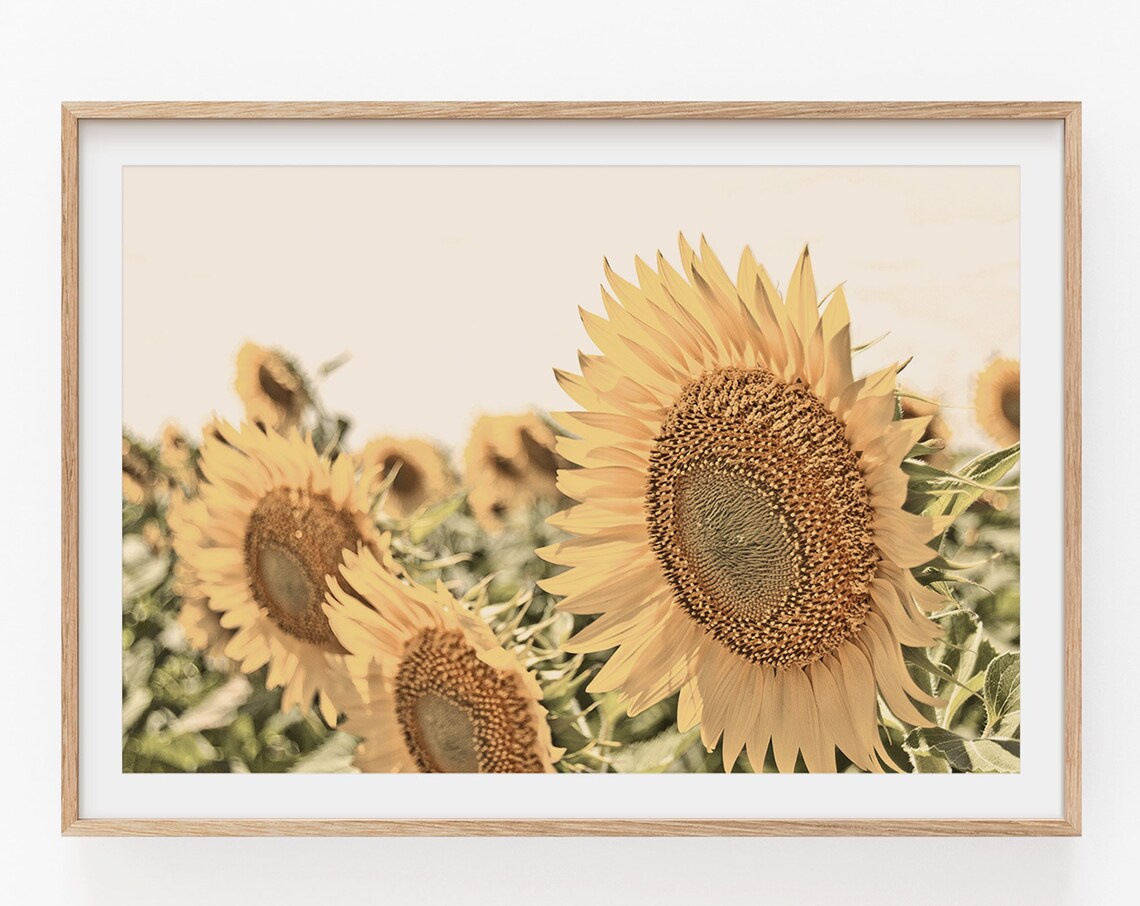 Sunflowers Botanical Floral Art Print, Horizontal - Image 4