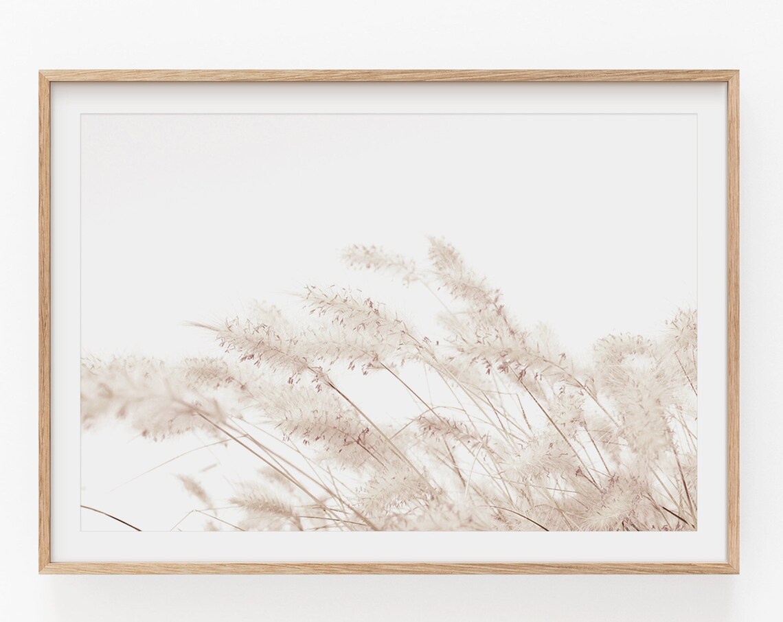 Pampas Grass Farmhouse Botanical Art Print