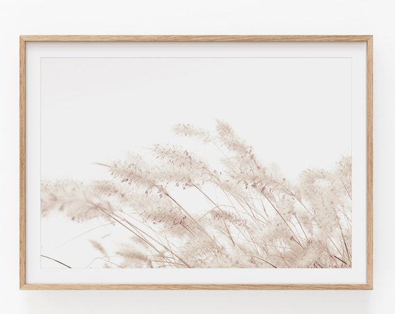 Pampas Grass Farmhouse Botanical Art Print