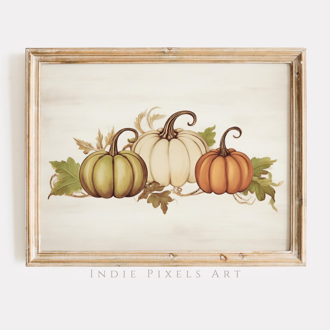 Three Pumpkins Fall Still Life Green White Orange Farmhouse Poster
