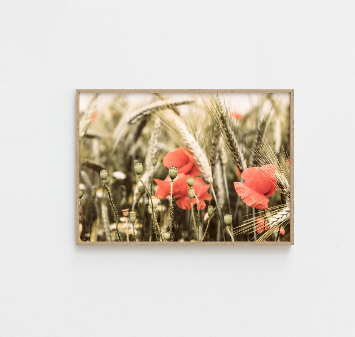 Red Poppies Field Photo Poster Farm Flowers Wheat Summer Scene