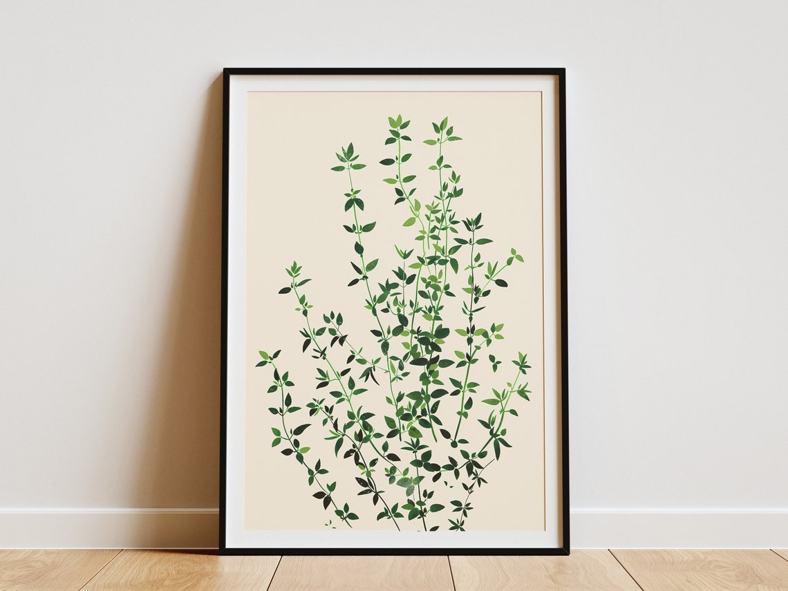 Thyme Botanical Sprigs Fine Green Minimalist Herb Art Poster