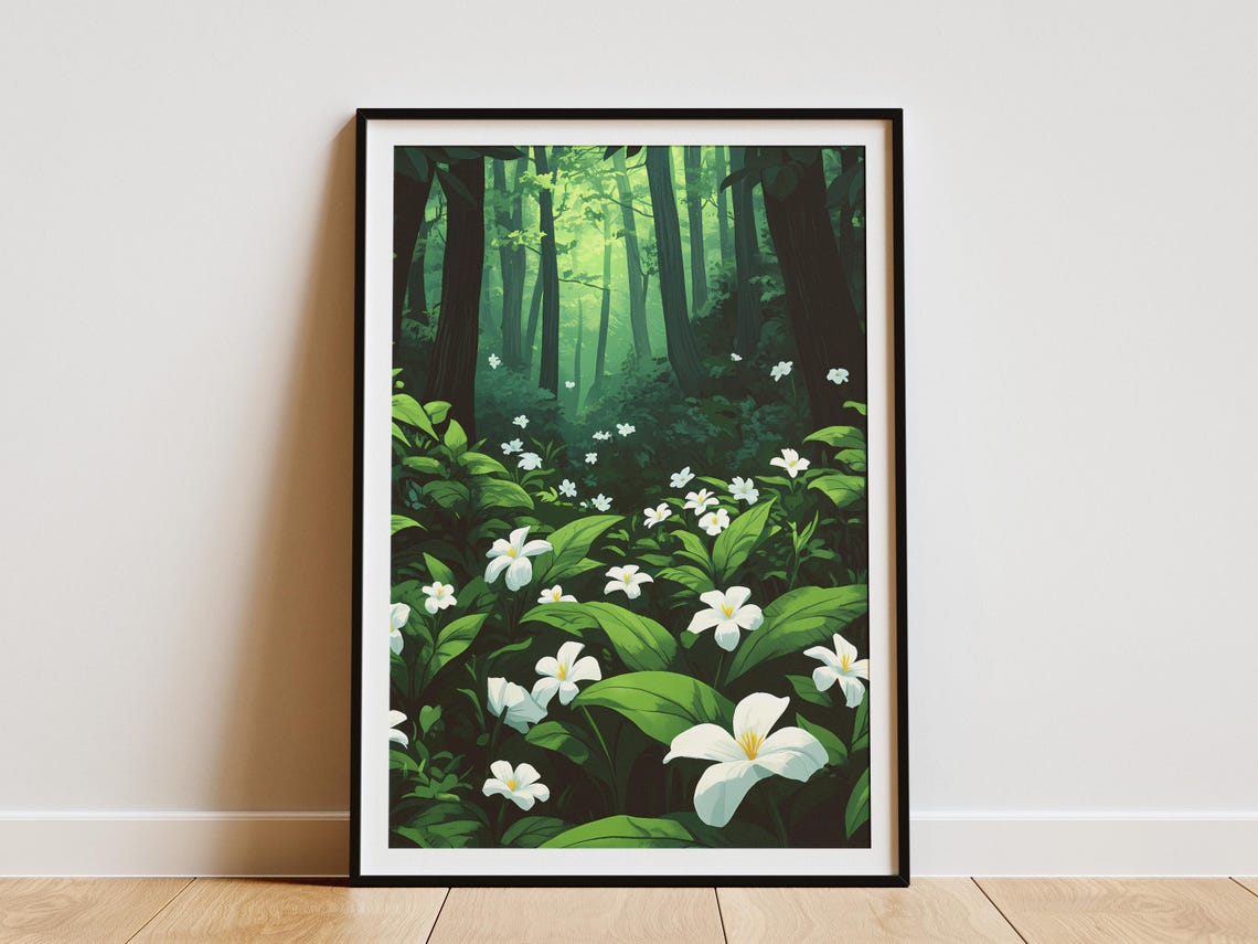 White Trillium Flowers Sunlit Forest Glade Fresh Flower Poster