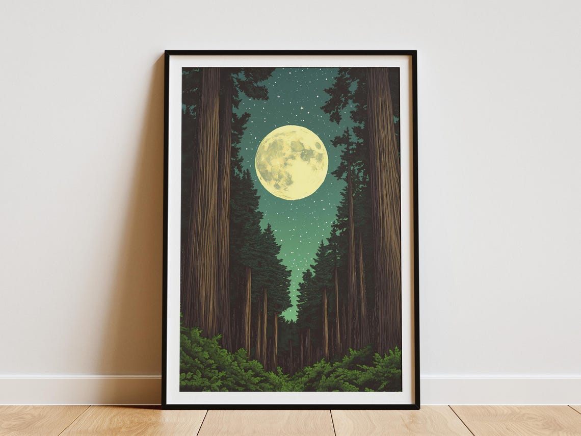 Redwood National Park Full Moon Over Redwood Canopy Starry Poster
