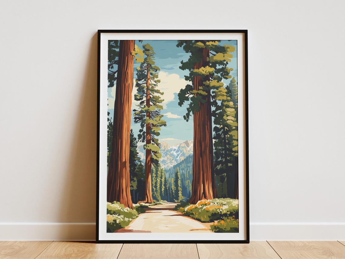 Sequoia Giant Redwood Trees Along Sunlit Forest Path Art Poster