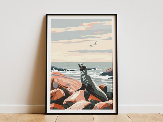 Sea Lion On Rocks Coastal Art Print Modern Minimalist Poster Ocean Animal Wall Decor Nautical Decor Beach Home Decor
