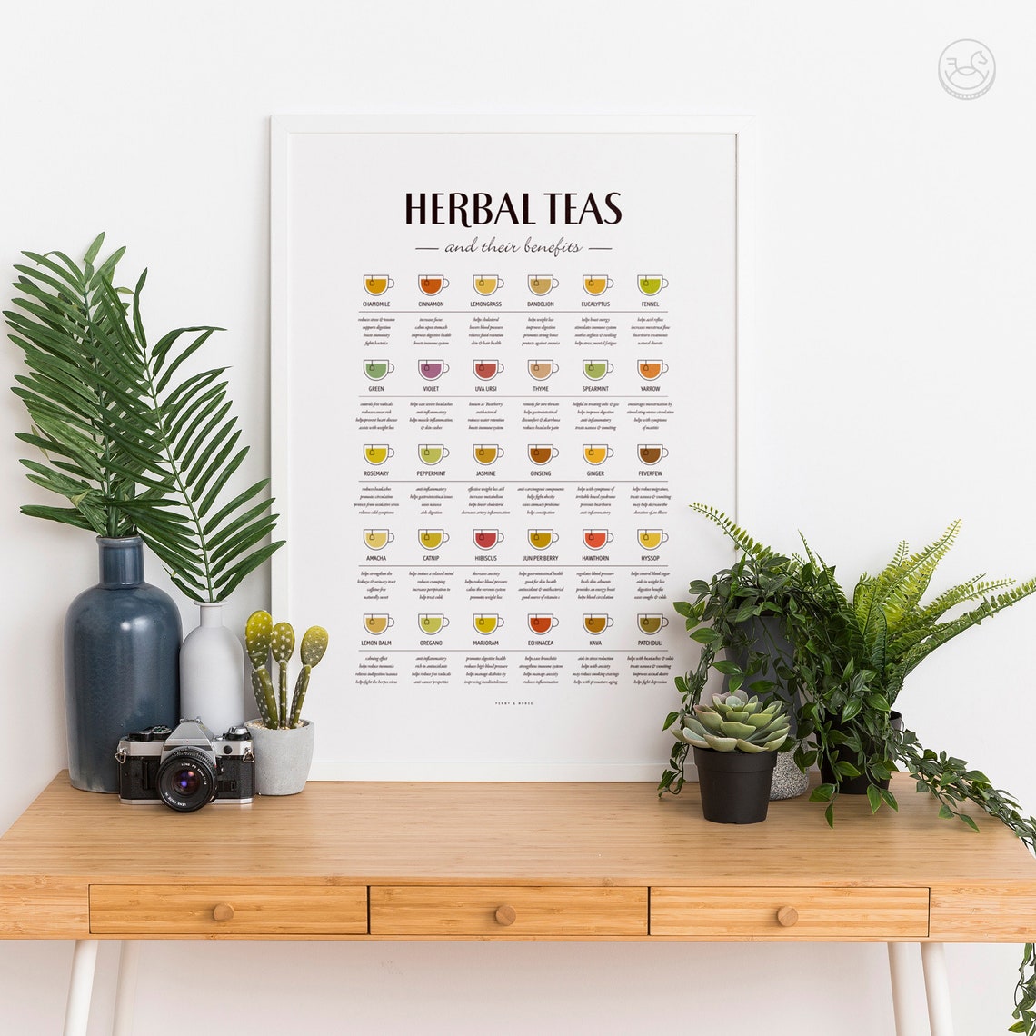 Herbal Teas and Their Benefits Illustrated Wellness Chart Poster - Image 4