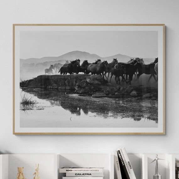 Wild Horses Black and White River Crossing Fine Art Photo Print