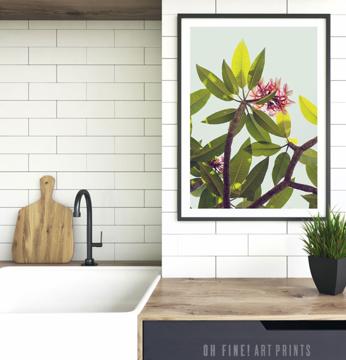 Plumeria Flowering Plant Photograph, Hawaii Art Print - Image 3