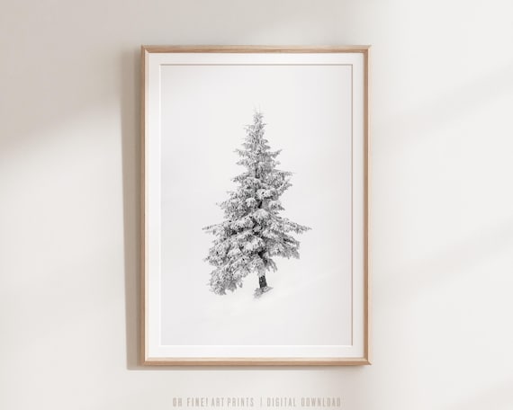Snow Covered Pine Tree Black And White Print Minimalist Winter Decor Wall Art Nature Photography A218
