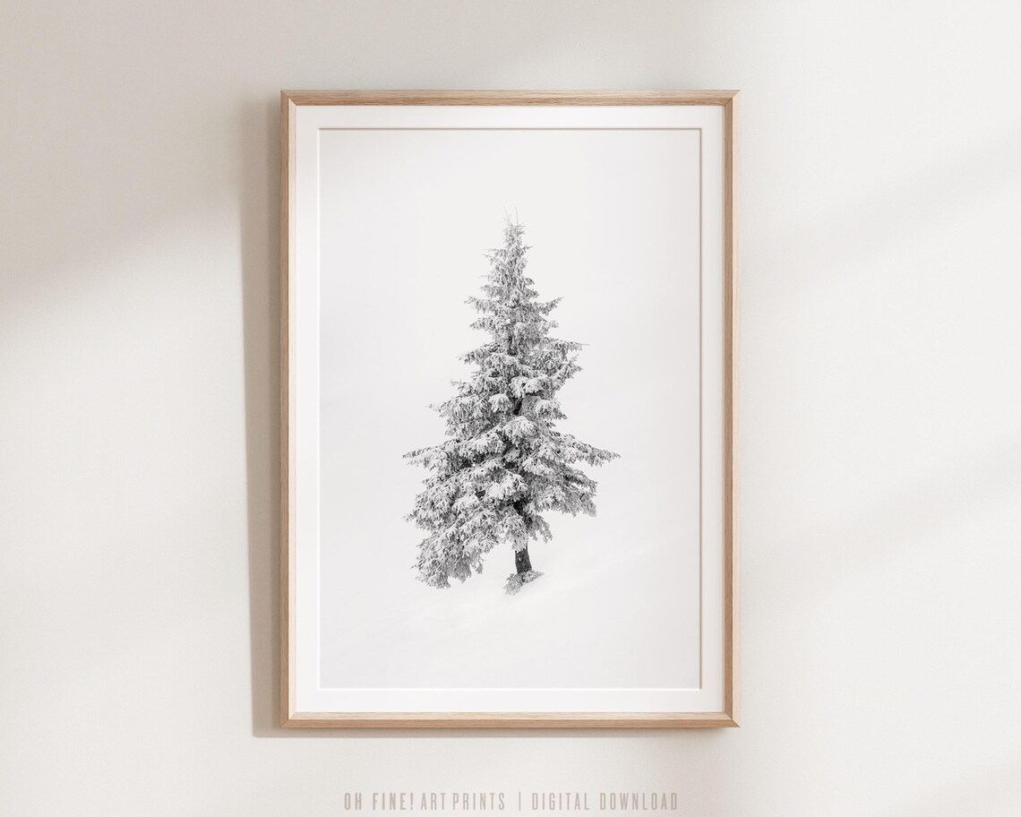 Snow Covered Pine Tree Black And White Print Minimalist Winter Decor Wall Art Nature Photography A218