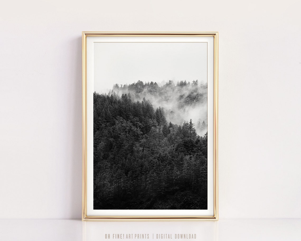 Black And White Misty Forest Photography Minimalist Nature Poster - Image 3