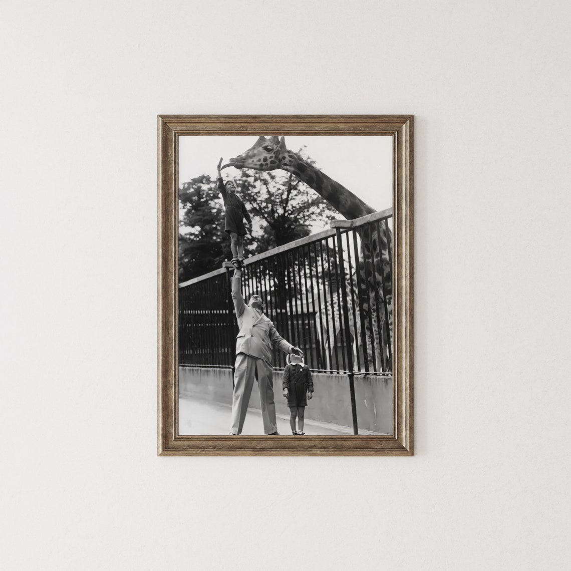 Boy Feeding Giraffe at the Zoo Vintage Black and White Photo Poster - Image 3